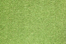 Green grass background texture., a Nature Photo by odpium