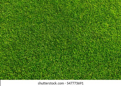 Green grass background texture. Golf or football field - Shutterstock ID 547773691