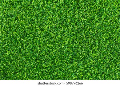 Green grass background texture .top view.
 - Shutterstock ID 598776266