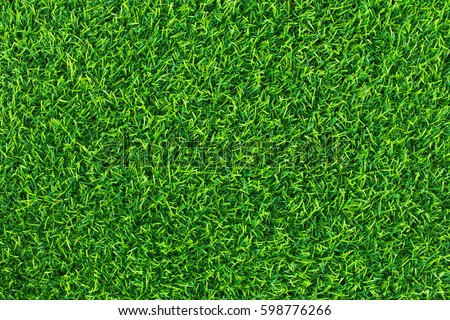 Green grass background texture .top view.
