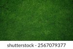 Green grass background, top view garden grass concept used for making green backdrop, lawn for sports field, golf course lawn green striped texture background                               