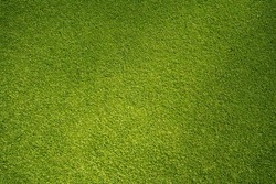 Green Grass Background, Top View Background Of Garden Bright Grass Concept Used For Making Green Backdrop, Lawn For Sports Field, Golf Course Lawn Green Striped Texture Background