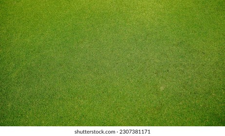 Green grass background, top view background of garden bright grass concept used for making green backdrop, lawn for sports field, golf course lawn green striped texture background 