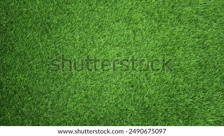 Green grass background, top view background of garden bright grass concept used for making green backdrop, lawn for sports field