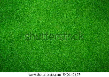 Green grass background vignette or the green nature wall texture Ideal for use in the design fairly.