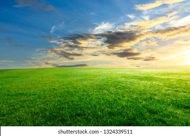 Green Grass And Beautiful Sky At Sunset