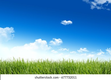 Green Grass And Blue Sky With Clouds