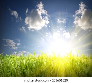 Green Grass And Blue Sky Over The Sun Rise