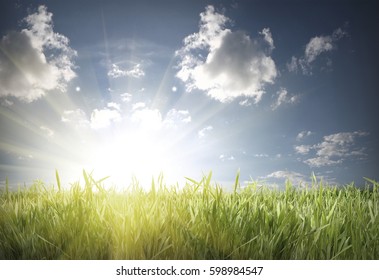 Green Grass And Blue Sky Over The Sun Rise.