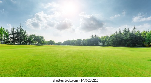 Green grass and blue sky with white clouds in summer season