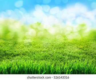 Green Grass Blurred Background