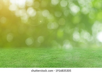 Green Grass And Blurred Bokeh Nature Background.