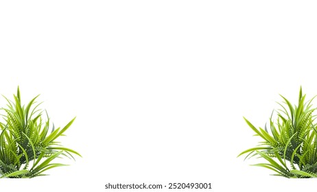 Green Grass Border, Frame For Text or Editing. Fresh natural greenery leaves, branches, forest fern, herbs botanical border, frame, text space. Poster banner, wedding invite, greeting card. PNG File. - Powered by Shutterstock