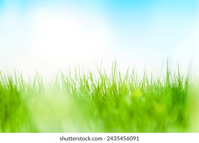 Green grass close-up against a blue background - Powered by Shutterstock