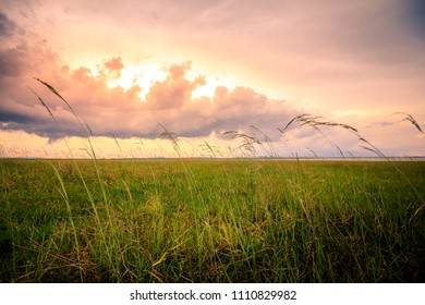 Green grass and clouds in bright sky - Shutterstock ID 1110829982