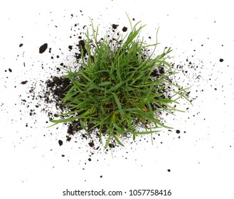 Green Grass With Dirt, Soil Isolated On White Background And Texture, Top View