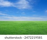 green grass field with blue sky and white clouds in the gardening and landscape shot photo use for design display product background concept.