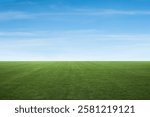 green grass field with blue sky and white clouds in the gardening and landscape shot photo use for design display product background concept.