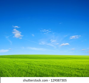  green grass field and blue sky