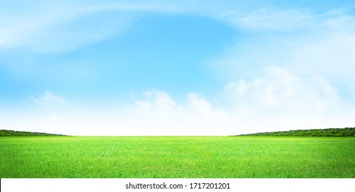 Green Grass Field And Blue Sky Summer Landscape Background