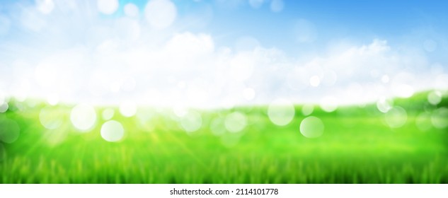 Green grass field and blue sky summer landscape background. Blurred bokeh wide backdrop