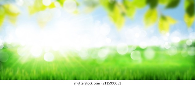 Green Grass Field And Blue Sky Summer Landscape Background. Blurred Bokeh Wide Backdrop