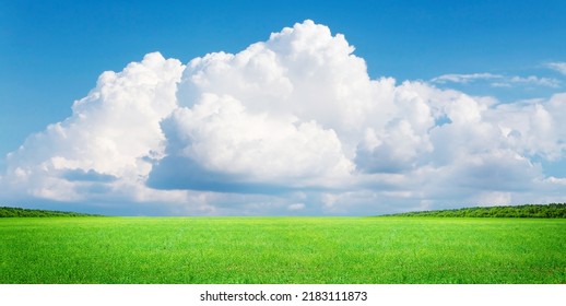 Green grass field and blue sky with cumulus clouds. Summer landscape background