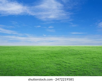 green grass field with blue sky and white clouds in the gardening and landscape shot photo use for design display product background concept. - Powered by Shutterstock