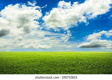 Green grass field and blue sky - Shutterstock ID 290753855