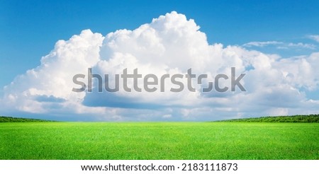 Green grass field and blue sky with cumulus clouds. Summer landscape background
