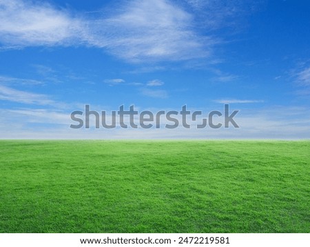 Similar – Image, Stock Photo Wide green park landscape in fine weather with a large meadow in the foreground and a group of trees and bushes in the background