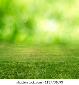 Green Grass Field Bokeh Summer Background