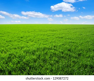  green grass field and bright blue sky