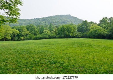 green grass field in  city park 