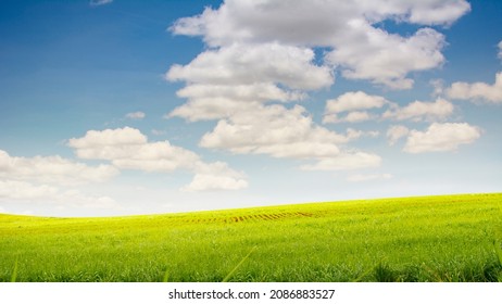 Green Grass Field Clear Skies Stock Photo 2086883527 | Shutterstock