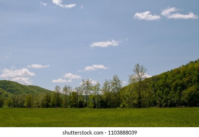 A Green Grass Field With Distant Treeline Under Blue Skies