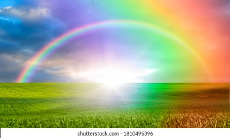 Green Grass Field With Double Sided Rainbow At Sunset