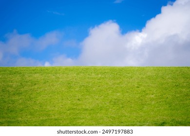 Green grass field. Grassy meadow background. Green grassy field. Grassy pasture landscape background. Wide green grass field. Grassland for background. Nature landscape background. - Powered by Shutterstock