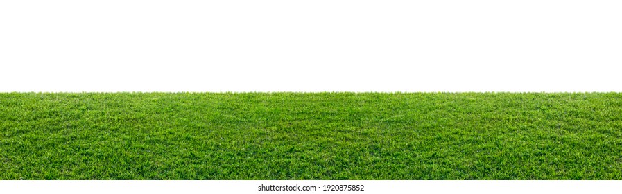 зеленое травяное поле, изолированное на белом фоне
