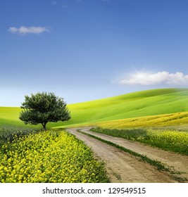 Green Grass Field Landscape with fantastic clouds in the background - Powered by Shutterstock