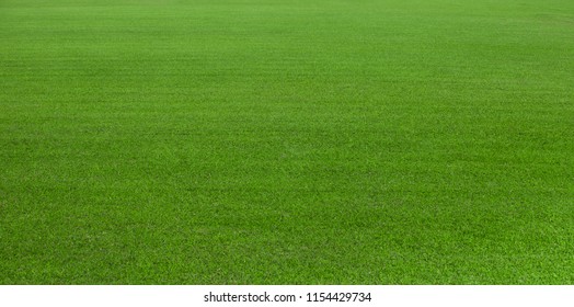 Green grass field, green lawn, Artificial grass. Green grass for golf course, soccer, football, sport. Green turf grass texture and background for design with copy space for text or image. - Shutterstock ID 1154429734