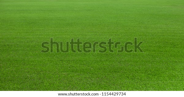 Green grass field, green lawn, Artificial grass.\
Green grass for golf course, soccer, football, sport. Green turf\
grass texture and background for design with copy space for text or\
image.