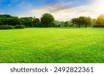 Green grass field lawn with tree and yellow sunlight against blue sky. Green Meadows Beautiful Journey Through Nature Great as a background, web banner