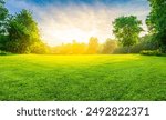 Green grass field lawn with tree and yellow sunlight against blue sky. Green Meadows Beautiful Journey Through Nature Great as a background, web banner