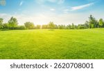 Green grass field lawn with tree and bright sunlight against blue sky.