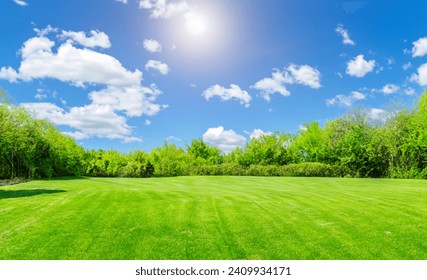 Green grass field lawn with tree and blue sky Green Meadows Beautiful Journey Through Nature Great as a background, web banner - Powered by Shutterstock