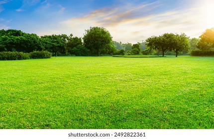 Green grass field lawn with tree and yellow sunlight against blue sky. Green Meadows Beautiful Journey Through Nature Great as a background, web banner