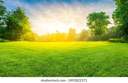 Green grass field lawn with tree and yellow sunlight against blue sky. Green Meadows Beautiful Journey Through Nature Great as a background, web banner - Powered by Shutterstock