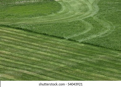 Green Grass Field Mowing Lawn