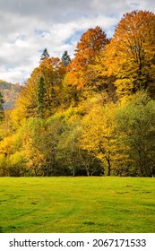 A Green Grass Field Near The Autumn Forest In The Mountains The Sky With Clouds. Autumn Is Vertical Background.